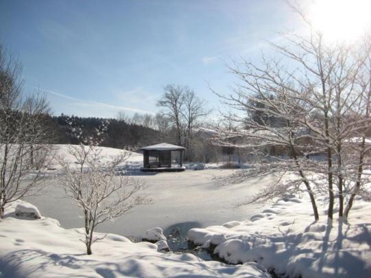 Haus An Der Therme 巴特恩多夫 外观 照片